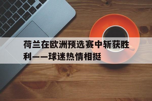 开云体育登录-关于荷兰在欧洲预选赛中斩获胜利——球迷热情相挺的信息