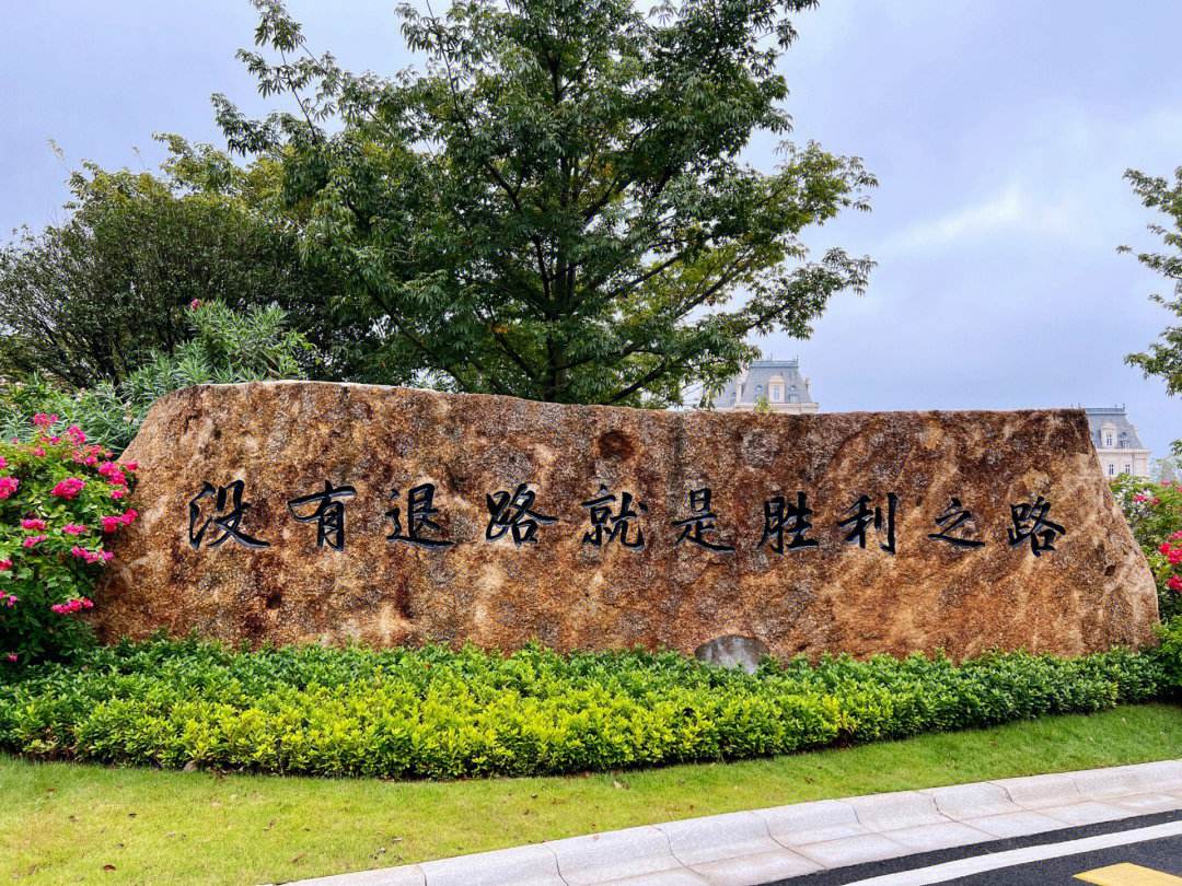 开云体育中国官网-关于重庆队主场胜利，踏上胜利之路的信息