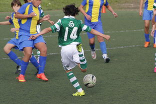 开云体育登录入口-瓦朗谢纳客场战平卡昂，保持法甲不败纪录